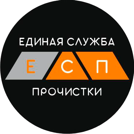 Лого-ЕСП